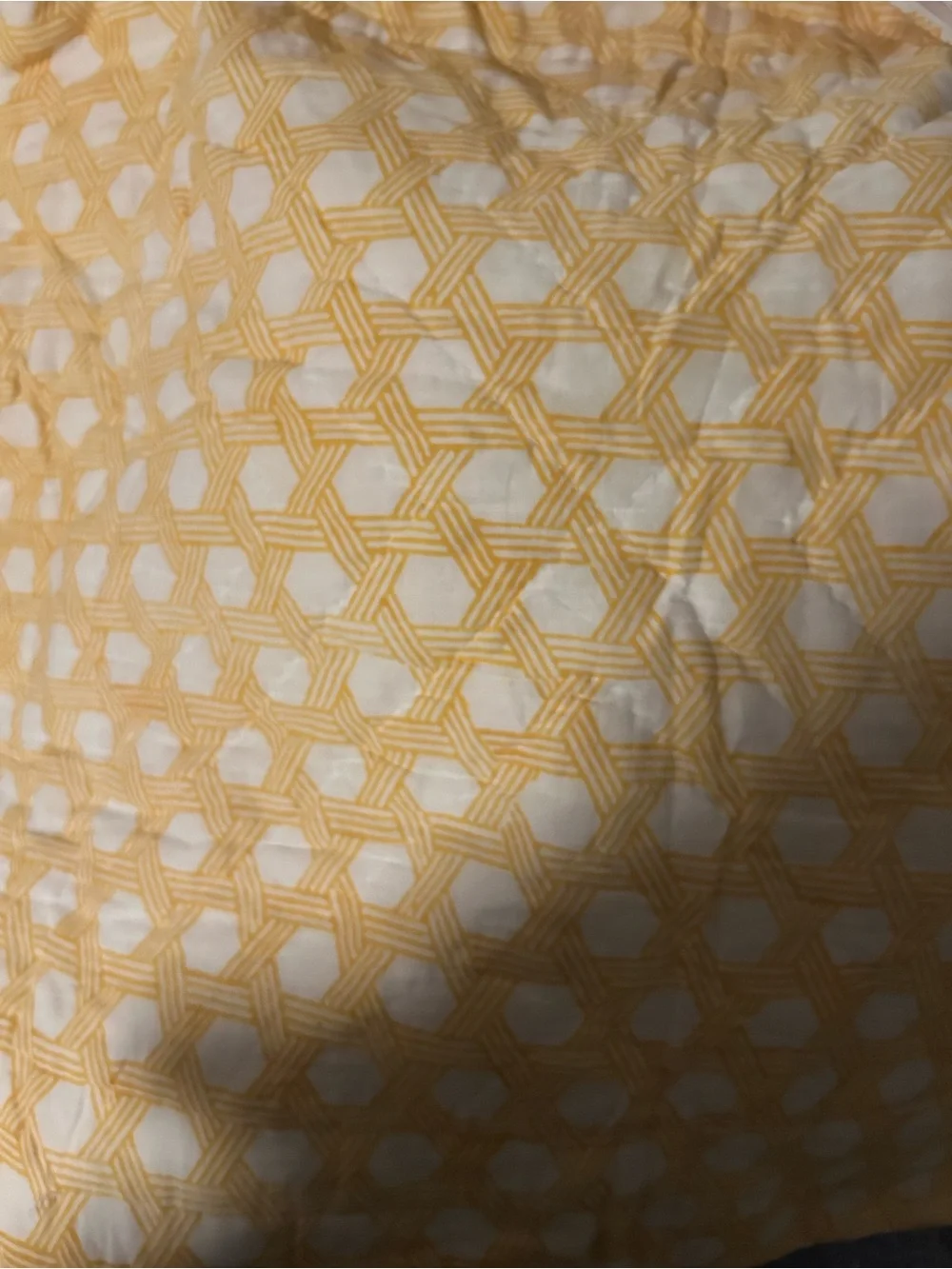 Serena & Lily Tulip-Print Pillow - Yellow and White